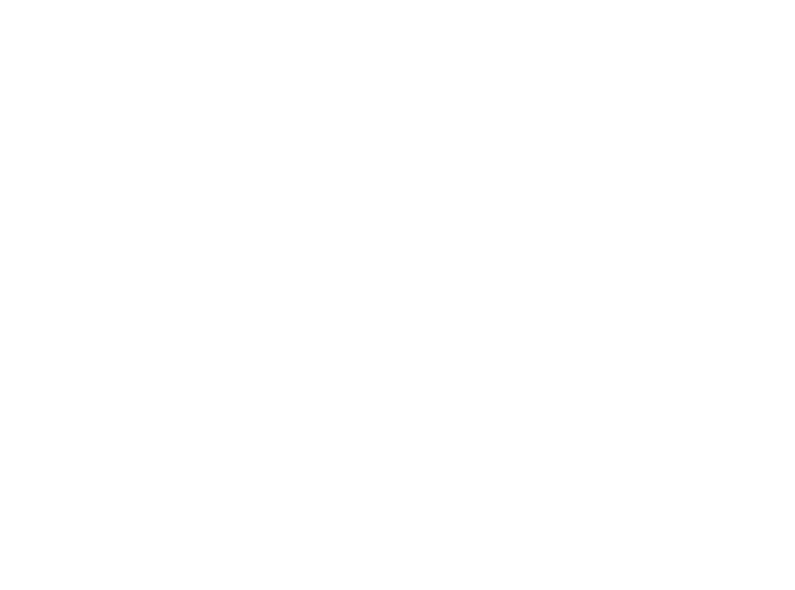 LARIX logo poziom bez tła białe